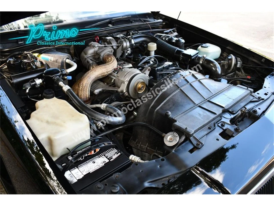 1984 Buick Regal - Image 31 of 31