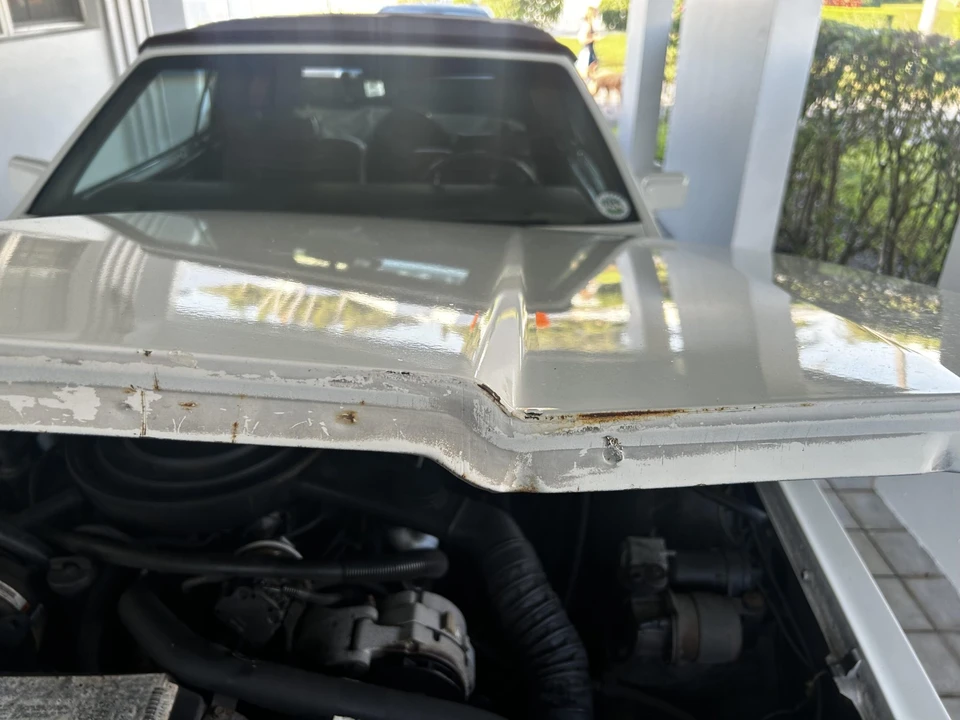1984 Buick Riviera 4th-7th Gen - Image 31 of 31