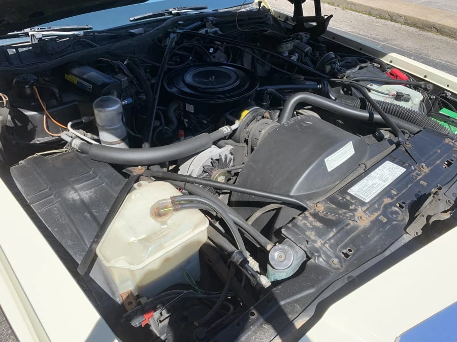 1984 Cadillac DeVille 5th Gen - Image 7 of 7