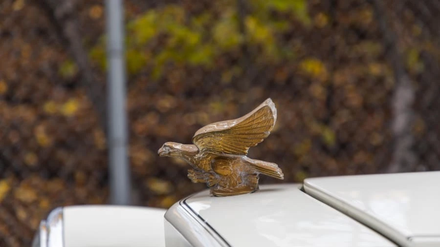1984 Cadillac DeVille 5th Gen - Image 12 of 13