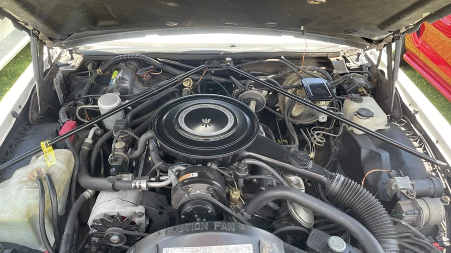1984 Cadillac Eldorado 10th Gen - Image 5 of 6