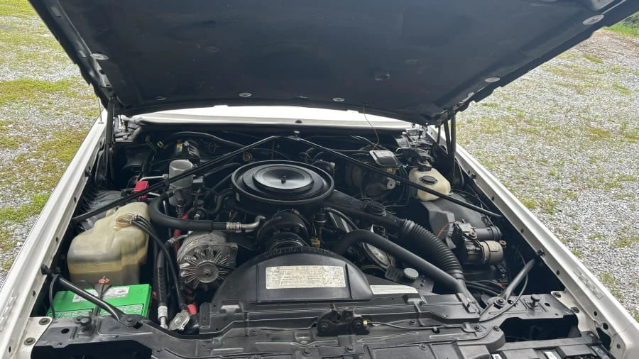 1984 Cadillac Eldorado 10th Gen - Image 15 of 19