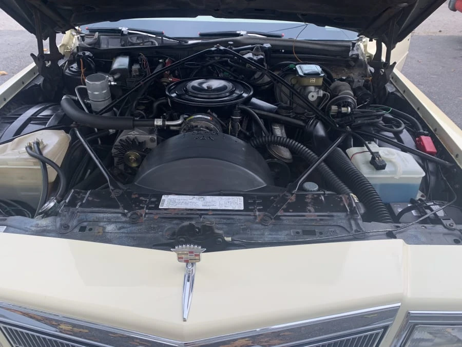 1984 Cadillac DeVille 5th Gen - Image 16 of 17