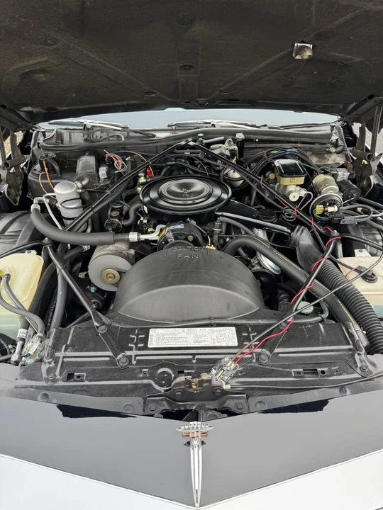1984 Cadillac DeVille 5th Gen - Image 24 of 27