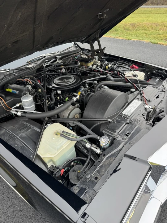 1984 Cadillac DeVille 5th Gen - Image 23 of 27
