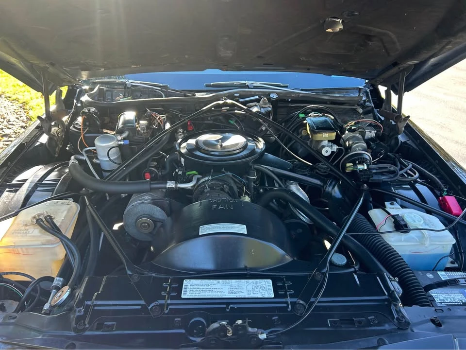 1984 Cadillac DeVille 5th Gen - Image 14 of 15