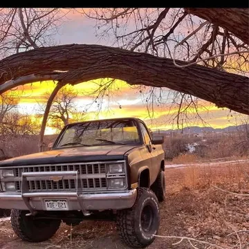 1984 Chevrolet 1500 Regular Cab Short Bed