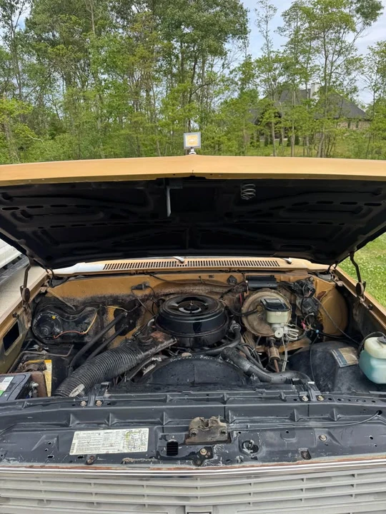 1984 Chevrolet Blazer - Image 20 of 20