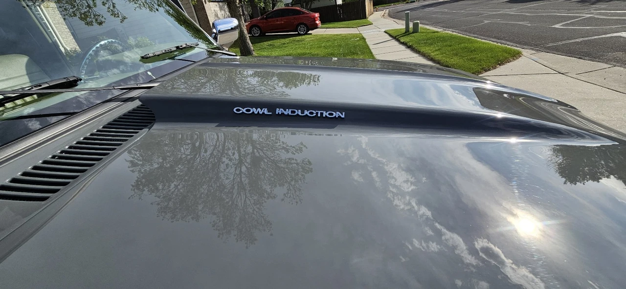 1984 Chevrolet C/K 3rd Gen - Image 31 of 31