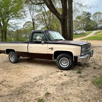 1984 Chevrolet C10 Silverado (Classic) 1500 Regular Cab Work Truck Pickup 2D 8 ft