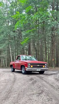 1984 Chevrolet C10