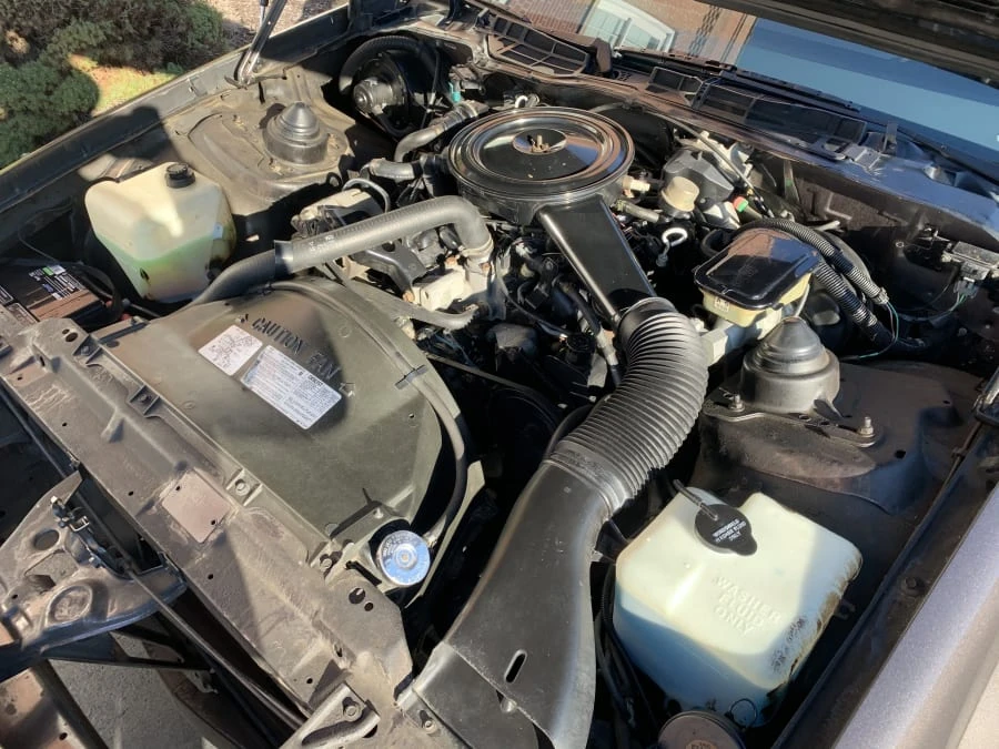 1984 Chevrolet Camaro 3rd Gen - Image 7 of 8