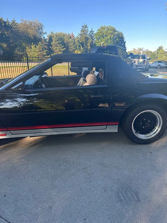 1984 Chevrolet Camaro 3rd Gen - Image 6 of 31