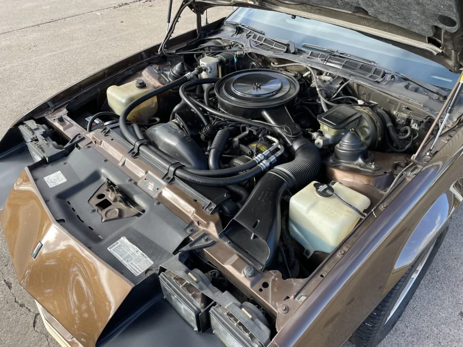 1984 Chevrolet Camaro 3rd Gen - Image 31 of 31