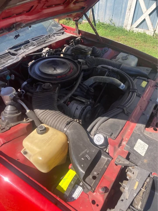 1984 Chevrolet Camaro - Image 11 of 11