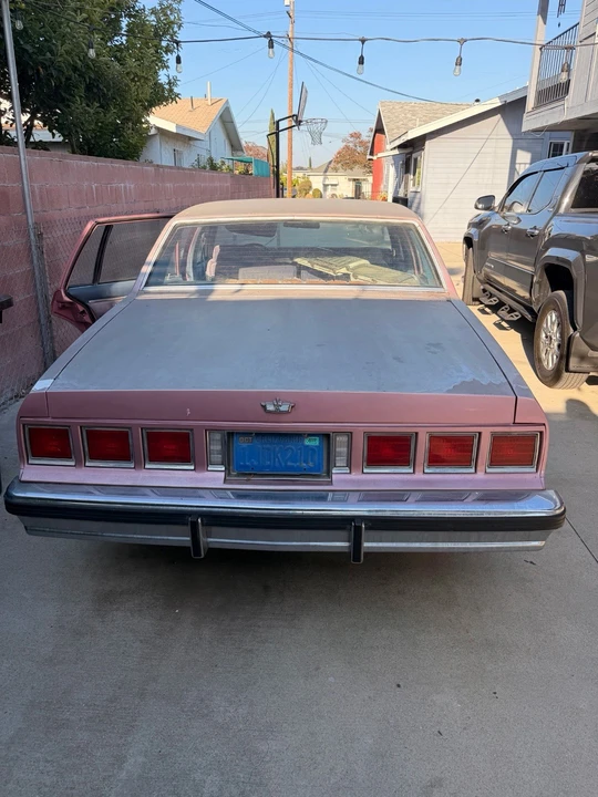 1984 Chevrolet Caprice - Image 14 of 14