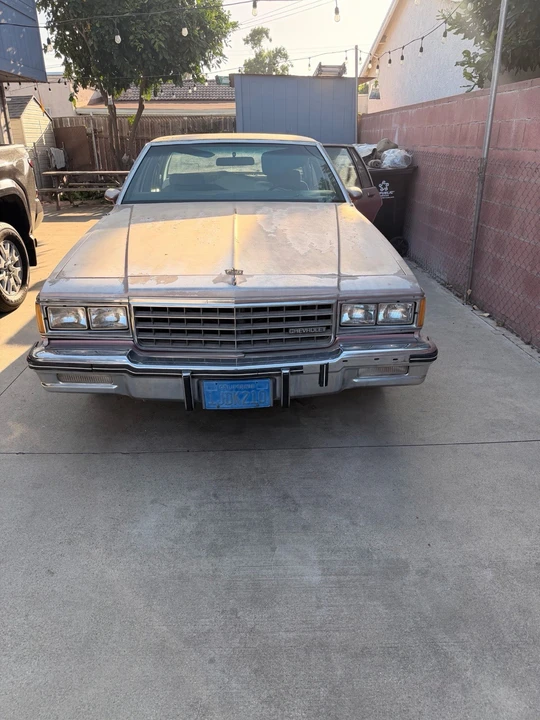 1984 Chevrolet Caprice - Image 12 of 14