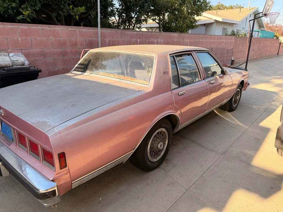1984 Chevrolet Caprice - Image 13 of 14