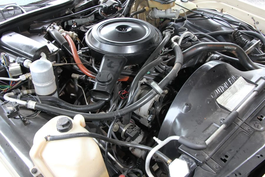 1984 Chevrolet Caprice - Image 7 of 7