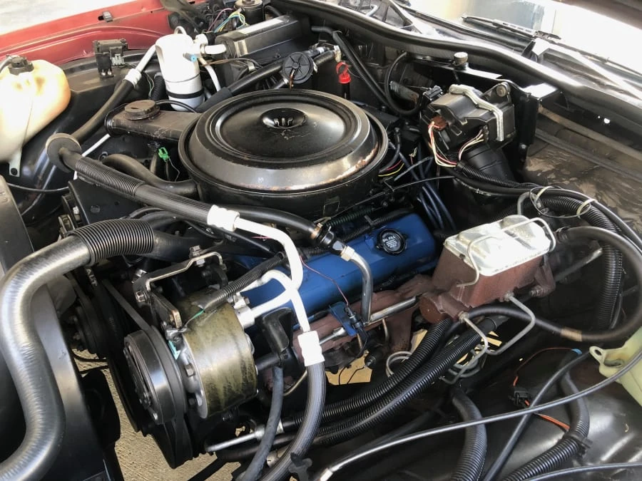 1984 Chevrolet Caprice - Image 21 of 22