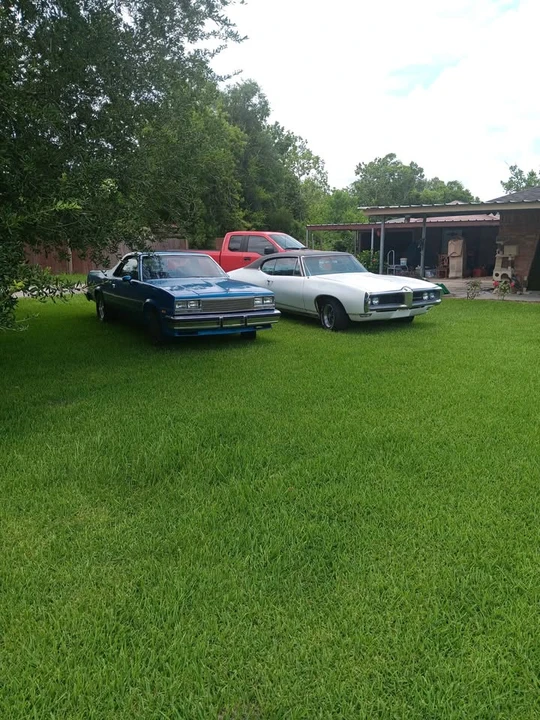 1984 Chevrolet Caprice - Image 4 of 8
