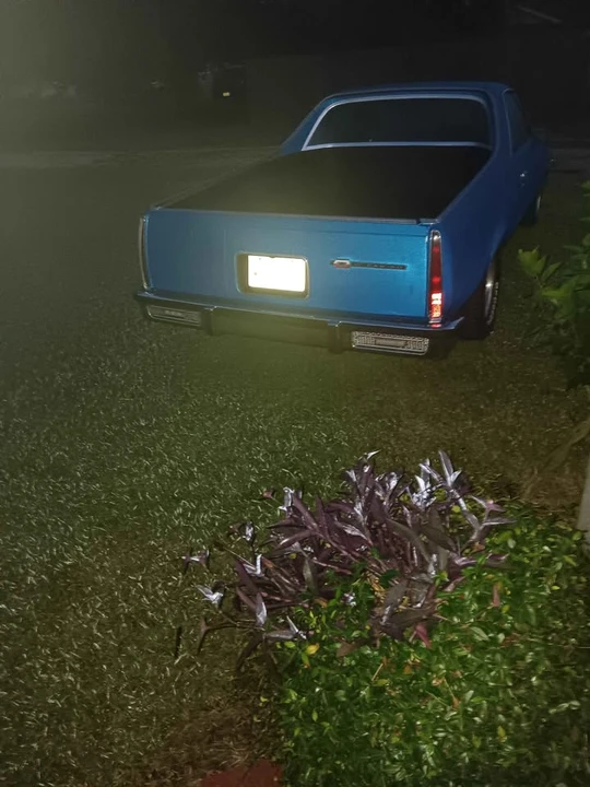 1984 Chevrolet Caprice - Image 7 of 8