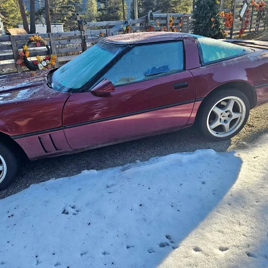 1984 Chevrolet Corvette C4 - Image 1 of 1