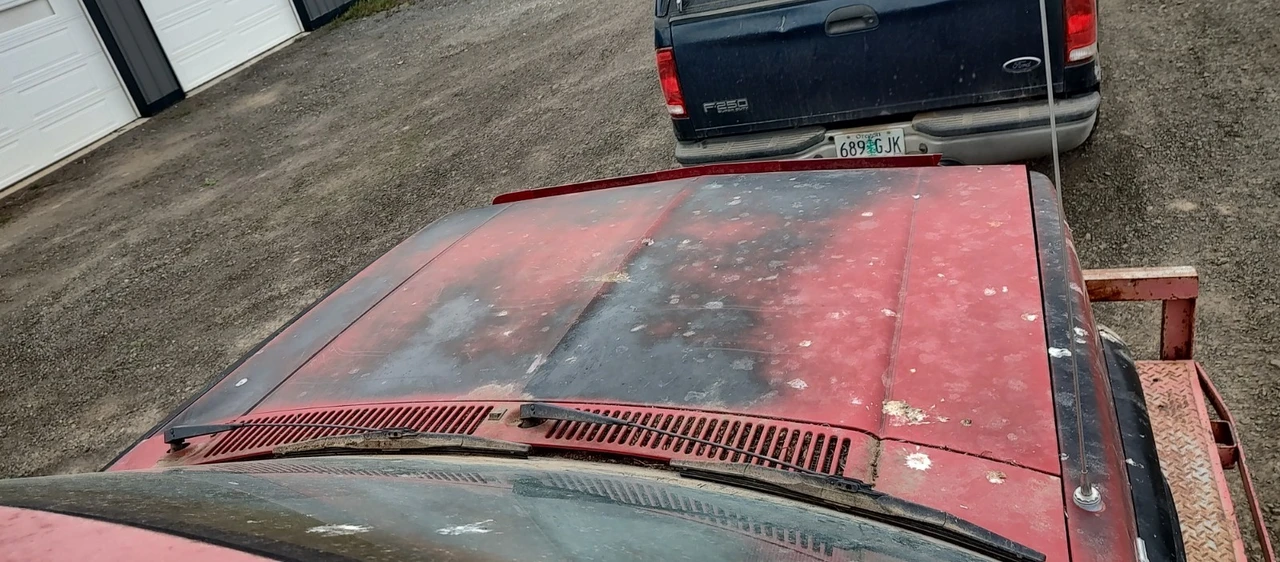 1984 Chevrolet S-10 - Image 10 of 18