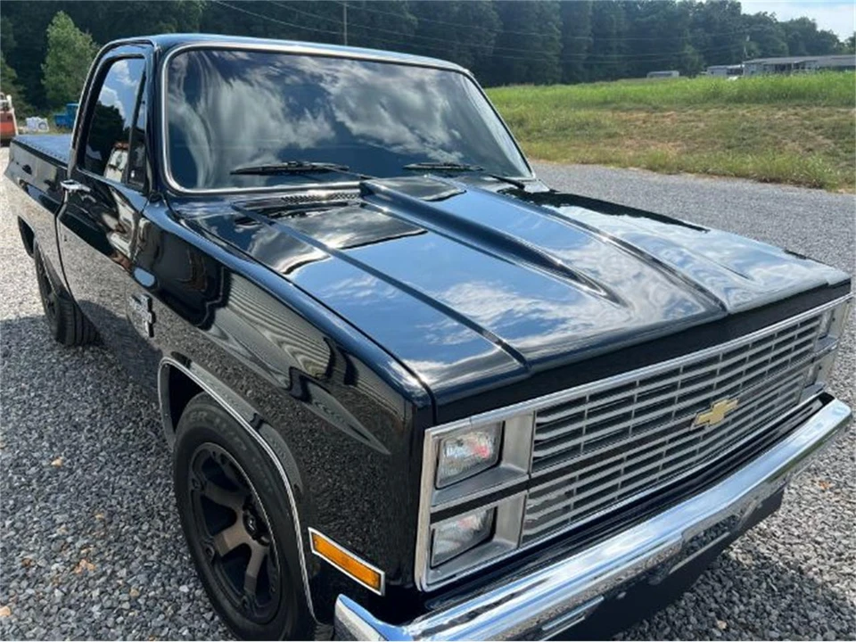 1984 Chevrolet Silverado - Image 10 of 20