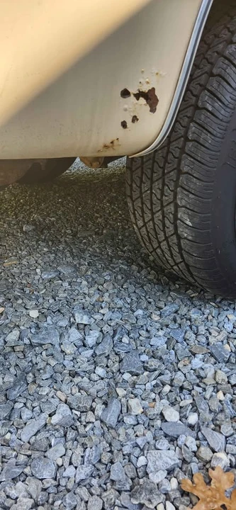 1984 Chevrolet C/K 3rd Gen - Image 13 of 18