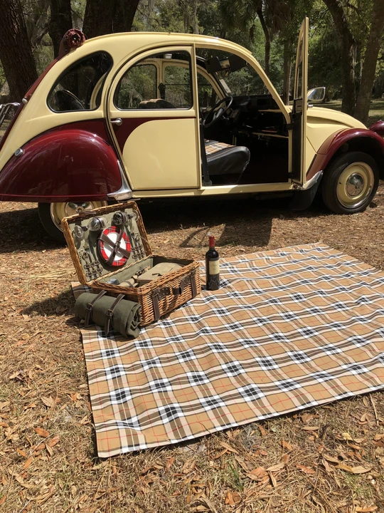 1984 Citroen 2CV - Image 20 of 31