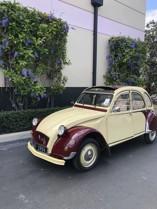 1984 Citroen 2CV - Image 4 of 31