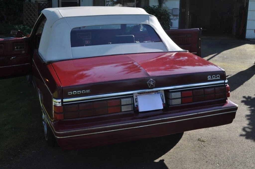 1984 Dodge 600 - Image 10 of 20
