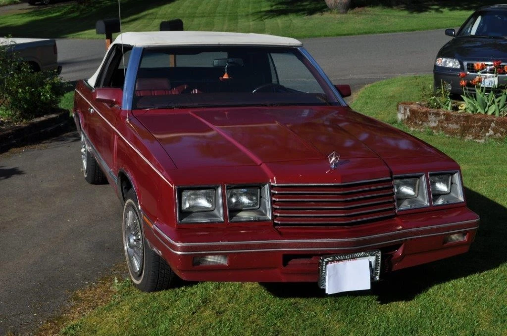 1984 Dodge 600 - Image 8 of 20