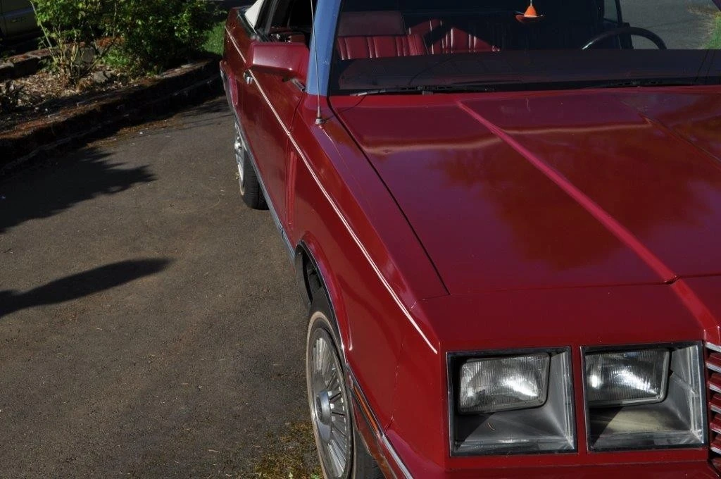 1984 Dodge 600 - Image 17 of 20