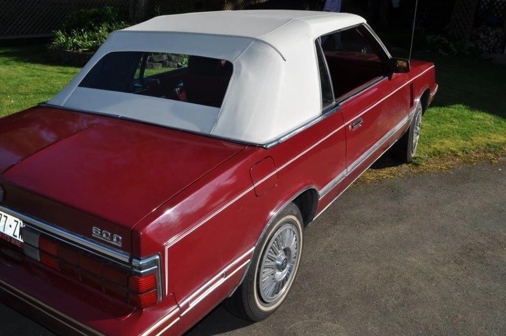 1984 Dodge 600 - Image 9 of 20