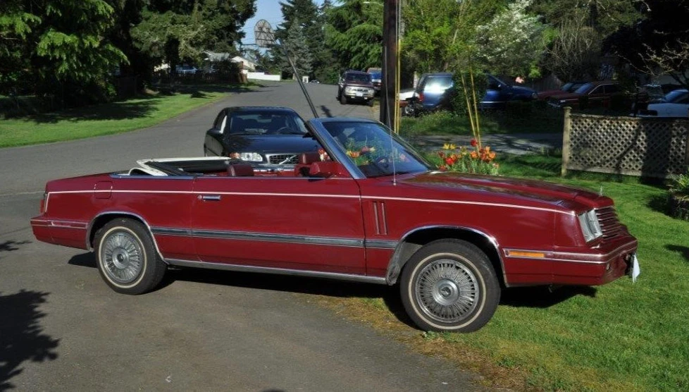 1984 Dodge 600 - Image 19 of 20