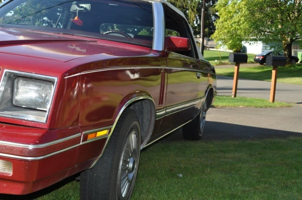 1984 Dodge 600 - Image 18 of 20