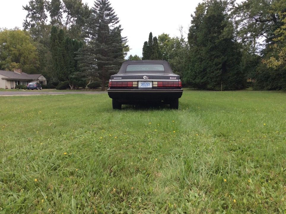 1984 Chrysler K-Car - Image 23 of 31