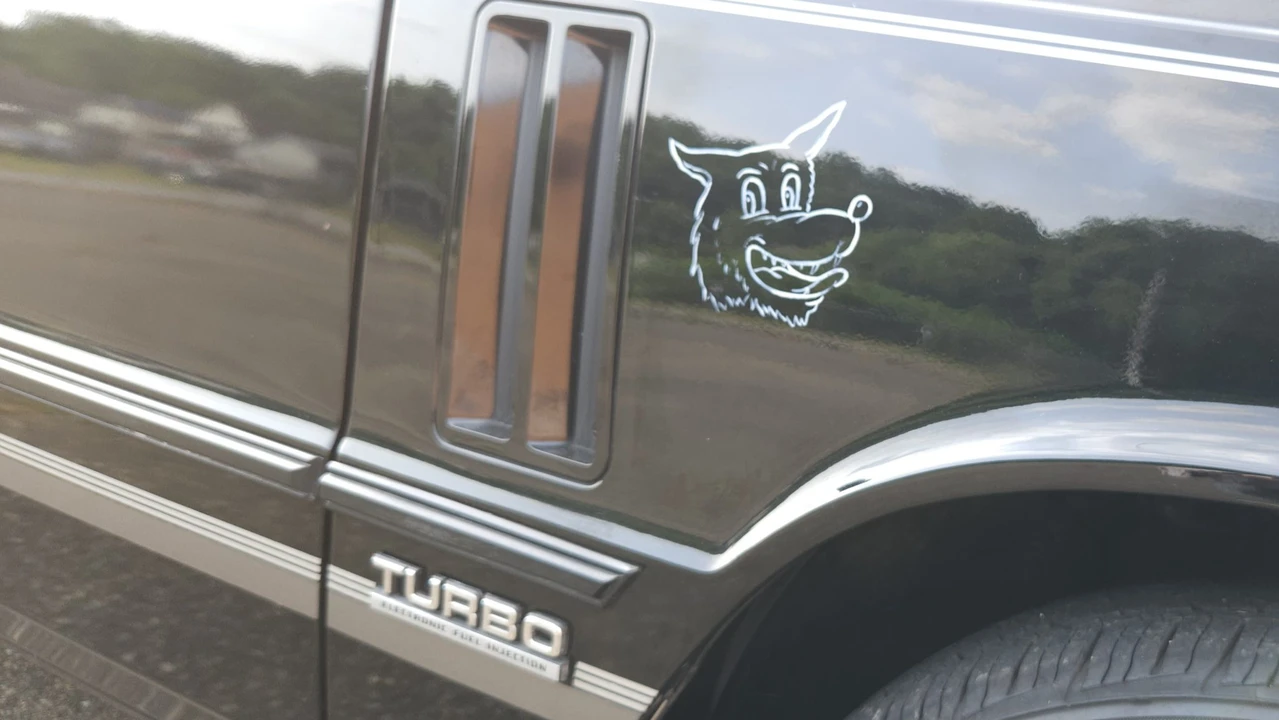 1984 Dodge 600 - Image 30 of 31