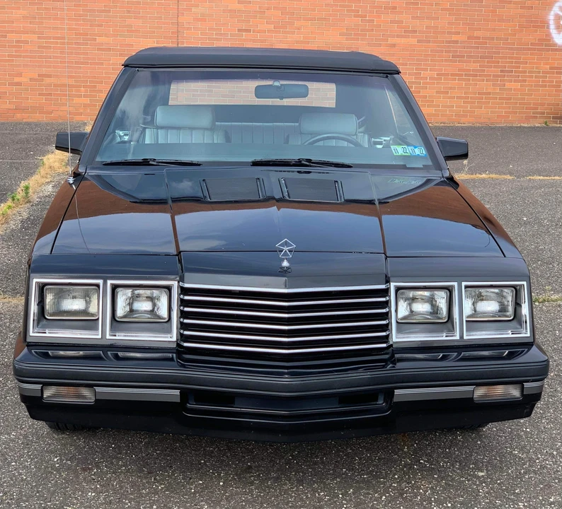 1984 Dodge 600 - Image 6 of 31