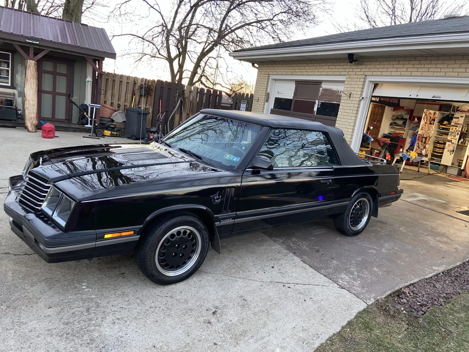 1984 Dodge 600 - Image 2 of 31