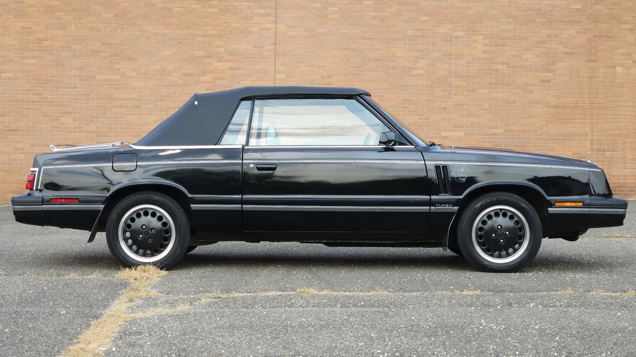 1984 Dodge 600 - Image 10 of 31