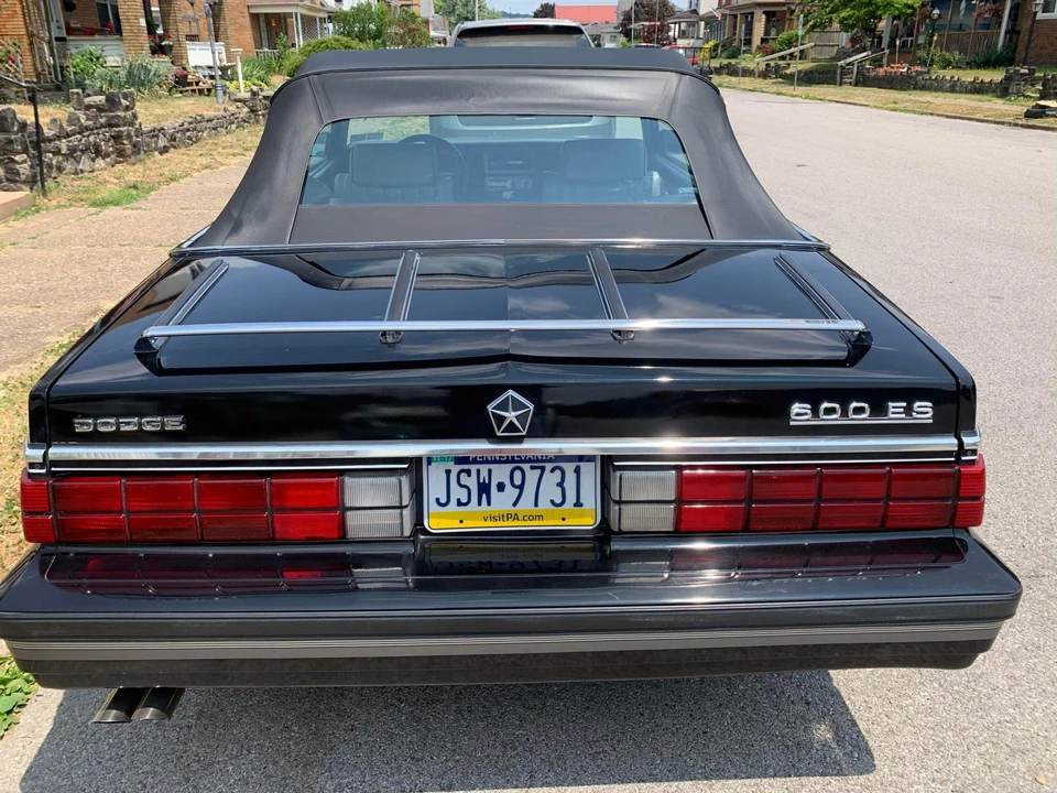 1984 Dodge 600 - Image 16 of 31