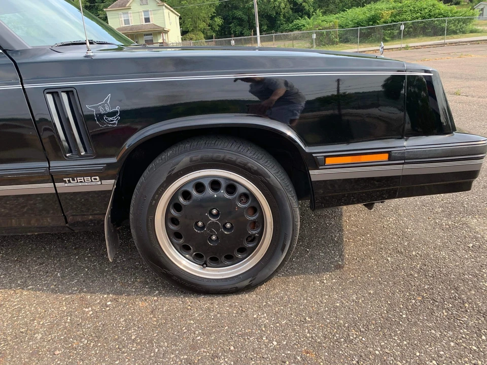 1984 Dodge 600 - Image 29 of 31