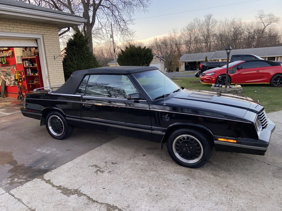1984 Dodge 600 - Image 9 of 31