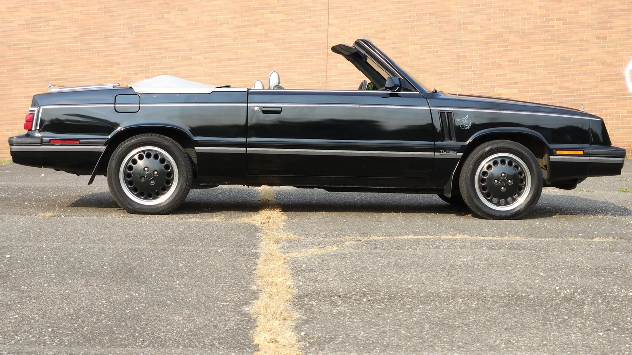 1984 Dodge 600 - Image 19 of 31