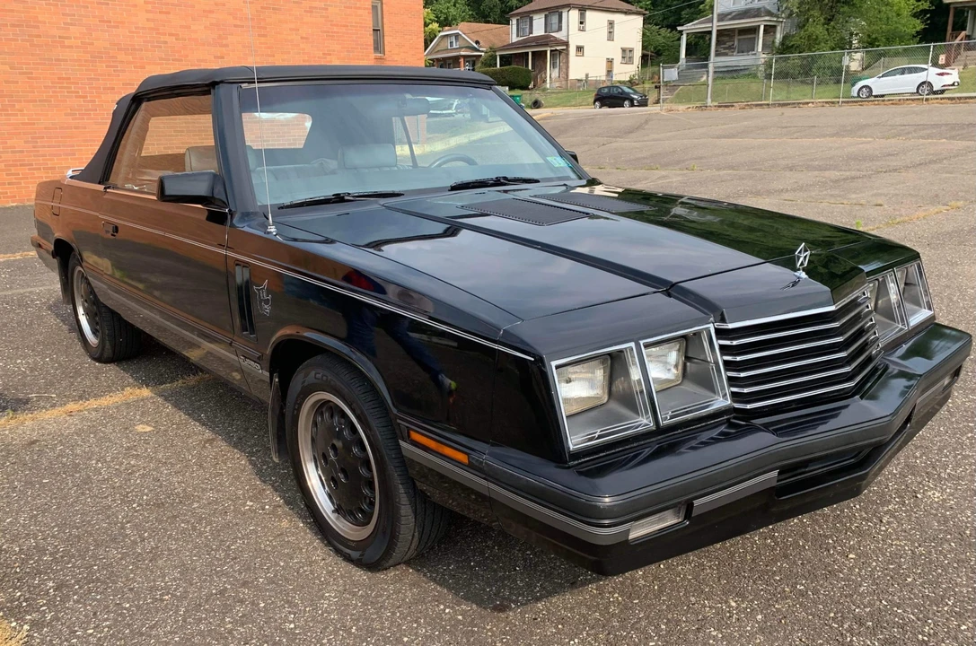 1984 Dodge 600 - Image 7 of 31