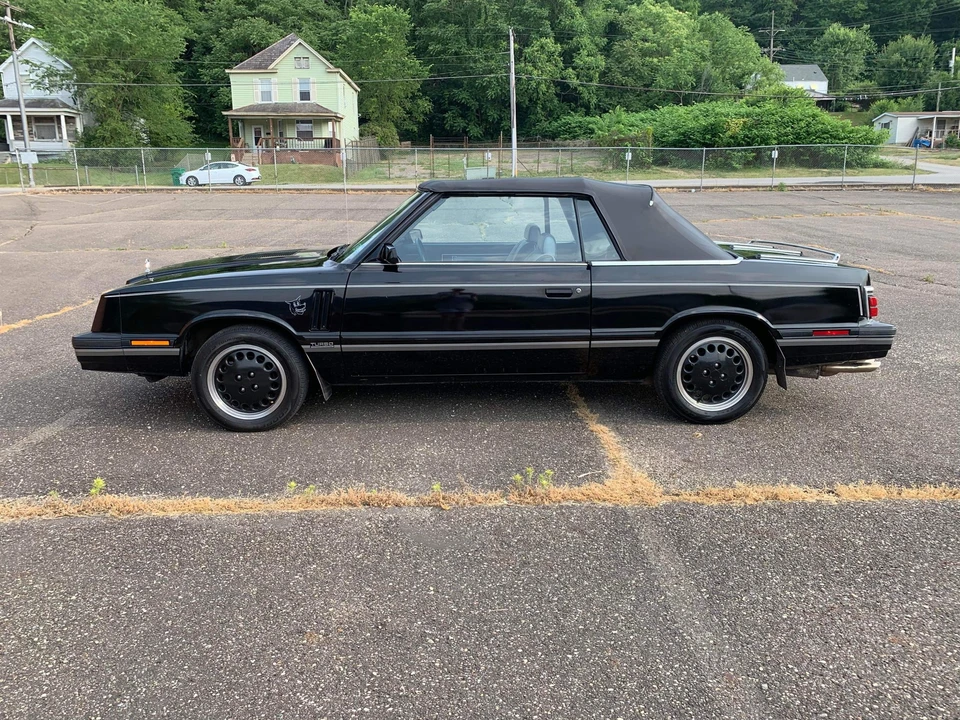1984 Dodge 600 - Image 17 of 31