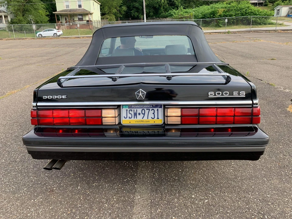 1984 Dodge 600 - Image 15 of 31